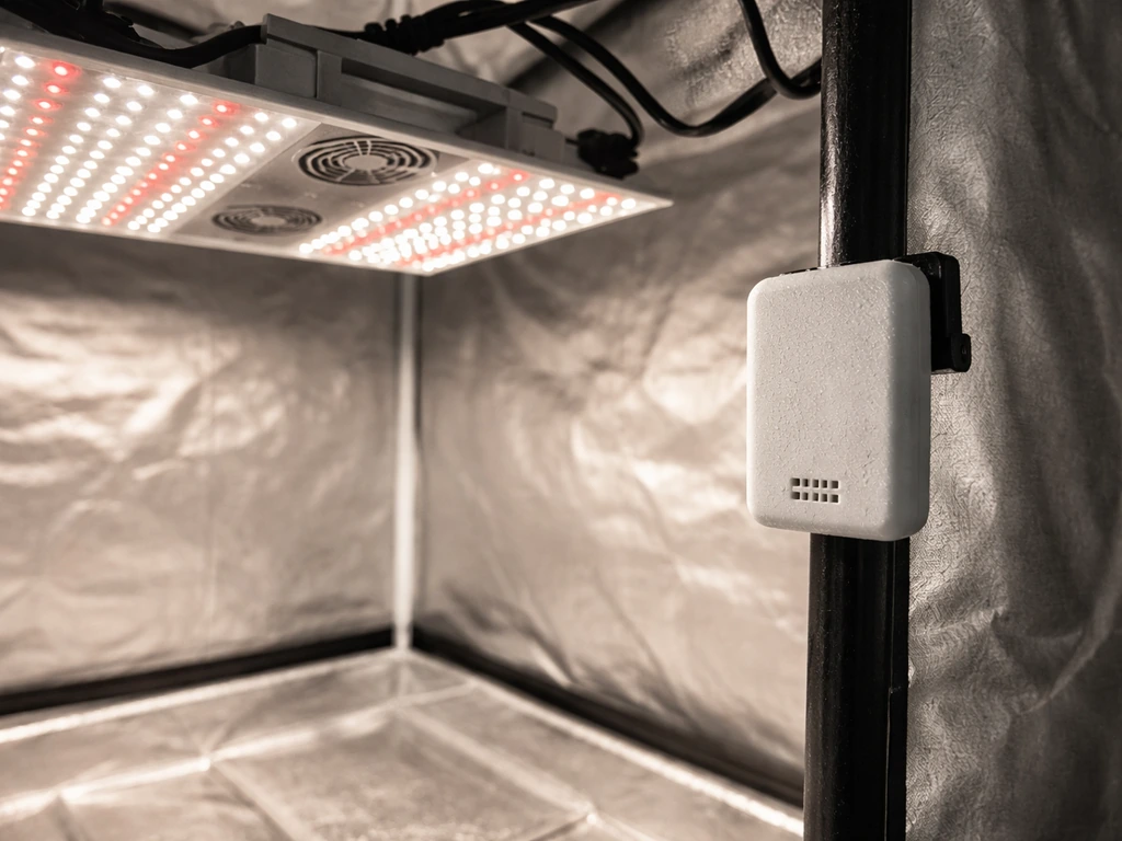 Overhead LED panel with a nearby temperature/humidity sensor in a clean indoor grow tent.